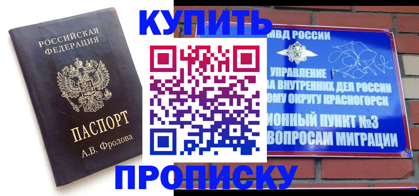 прописка поиск в Людиново